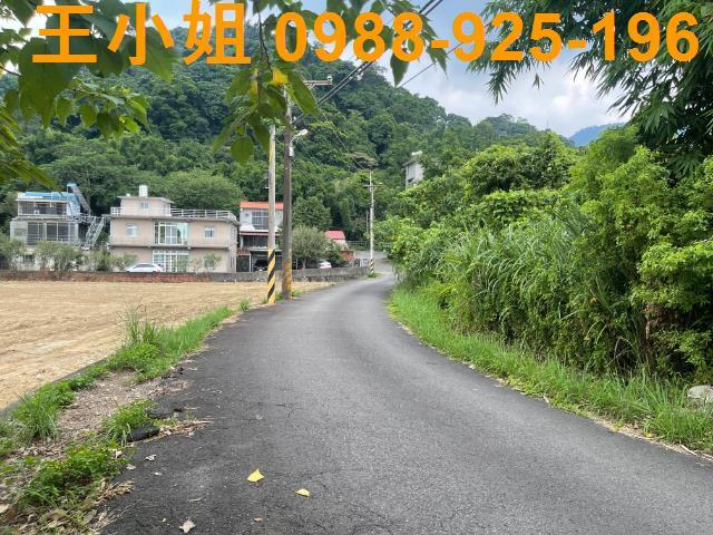 桃園農地-2