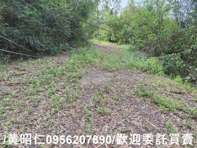 台南龍崎農地-3