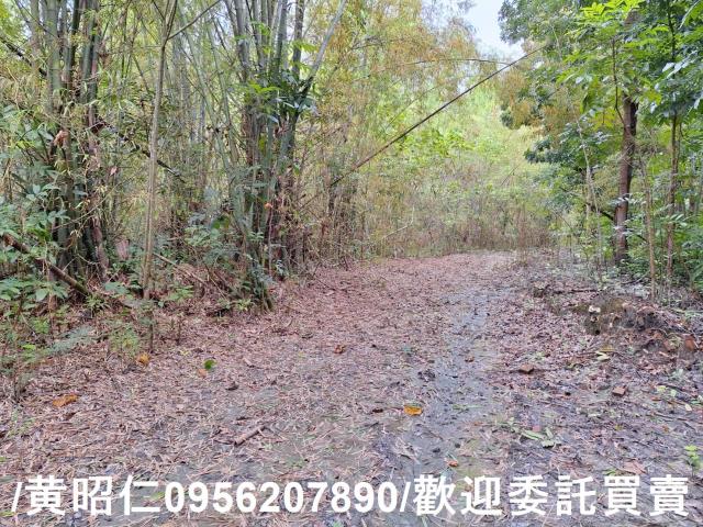 台南龍崎農地-4