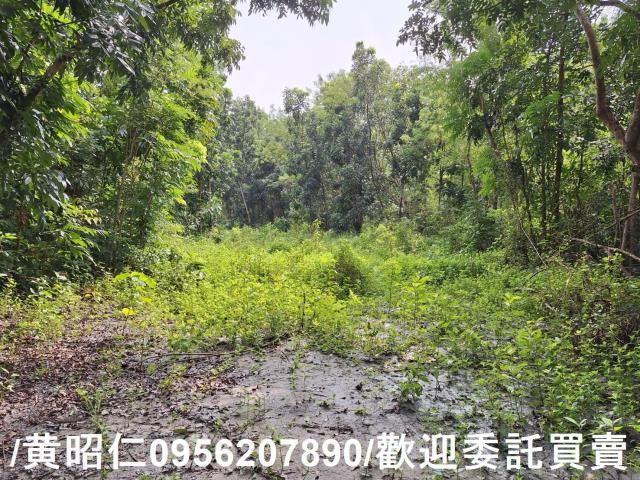 台南龍崎農地-6