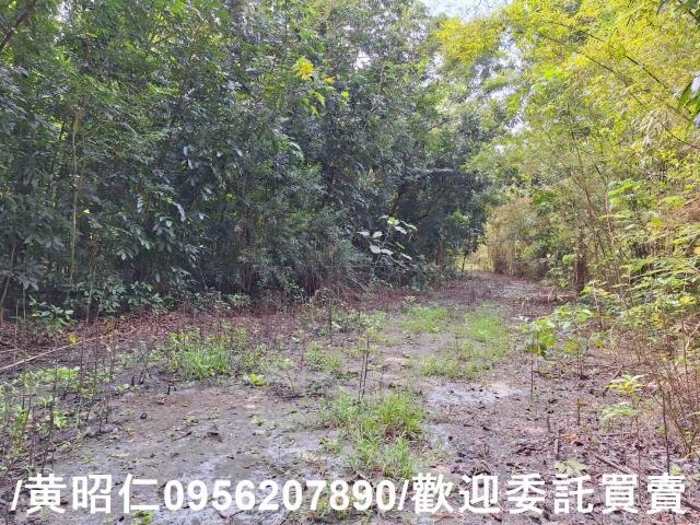 台南龍崎農地-9