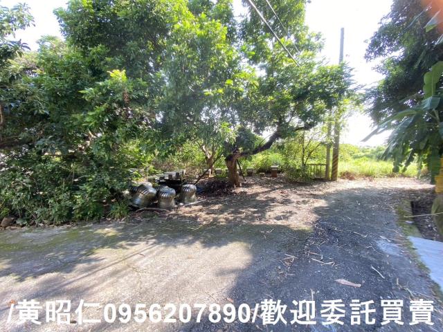 台南玉井農地-9