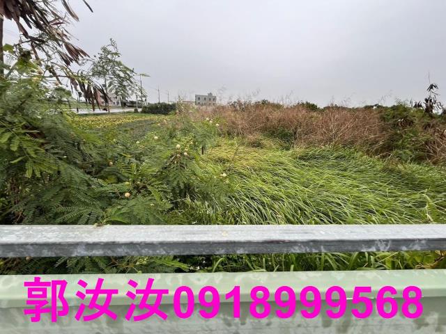 將軍建地-9