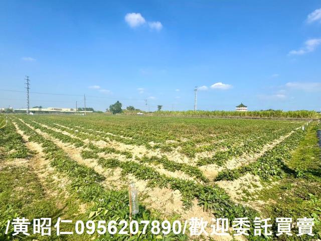 台南農地-2