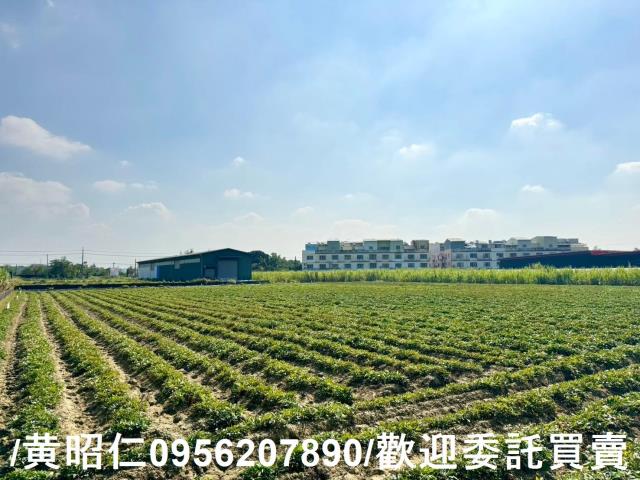 台南農地-3