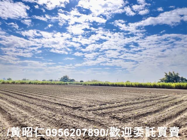 台南善化農地-2