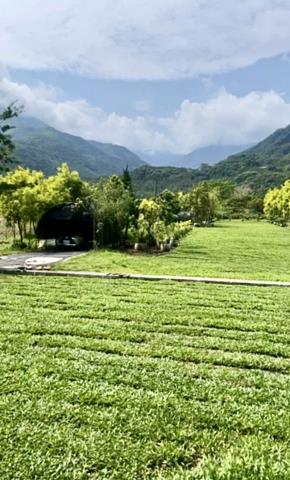 南投水里農地-1