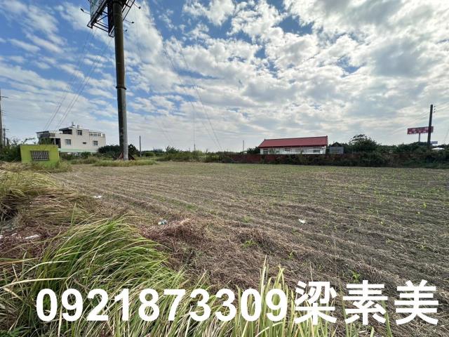 麻豆農地-4
