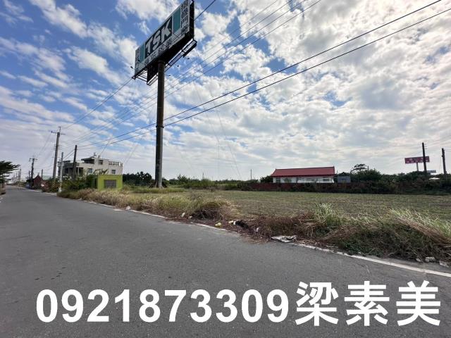 麻豆農地-5