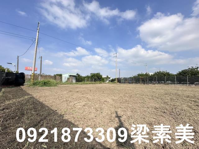 麻豆農地-1