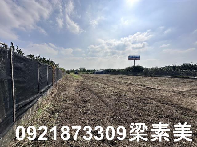 麻豆農地-4