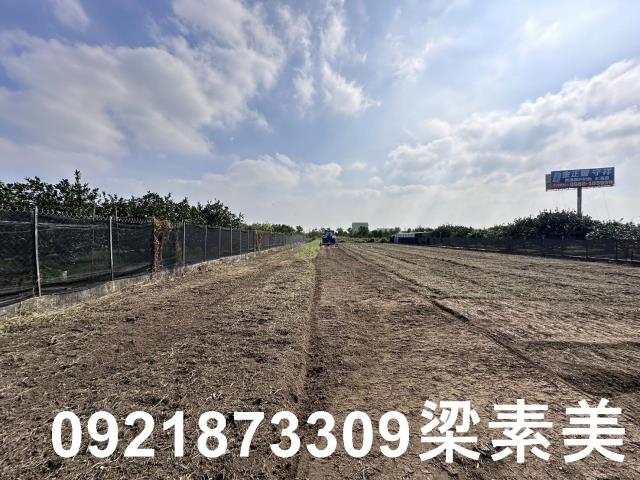 麻豆農地-5