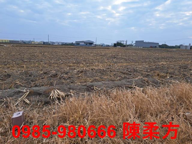 嘉義農地-6
