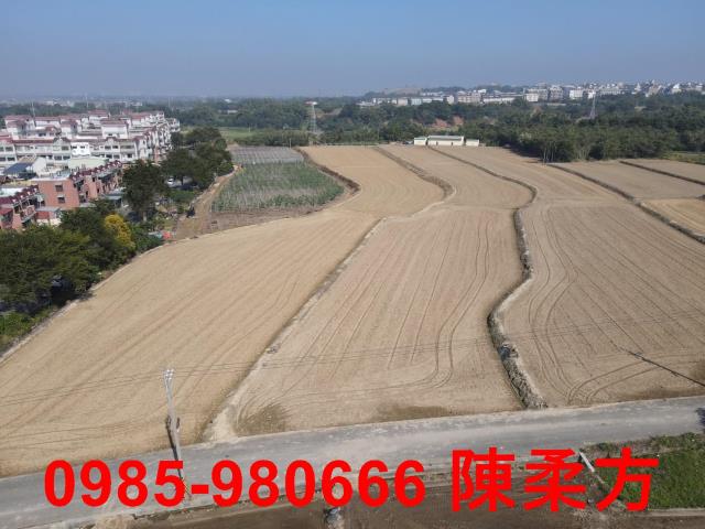 嘉義農地-6