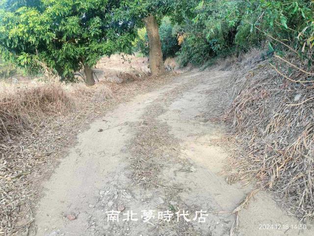 台南關廟農地-13