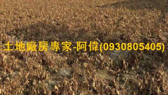 大寮農地-1