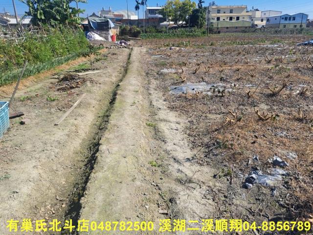 溪州建地-2
