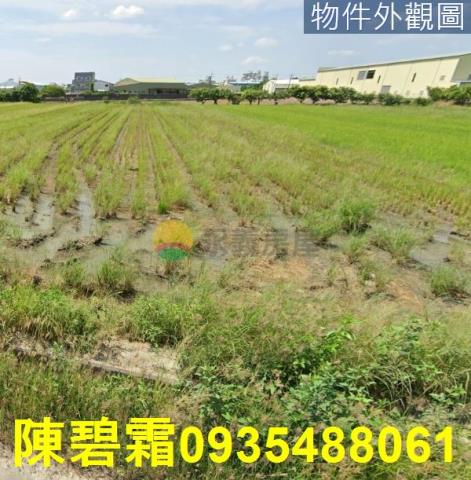 台南農地-3