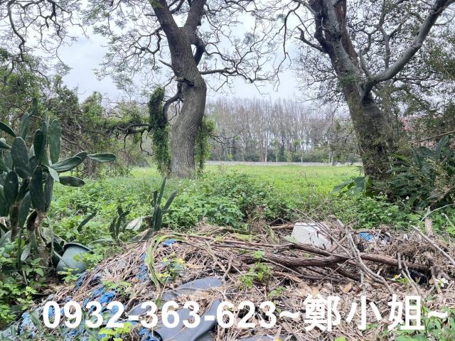 桃園觀音農地-3