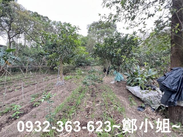 桃園觀音農地-4