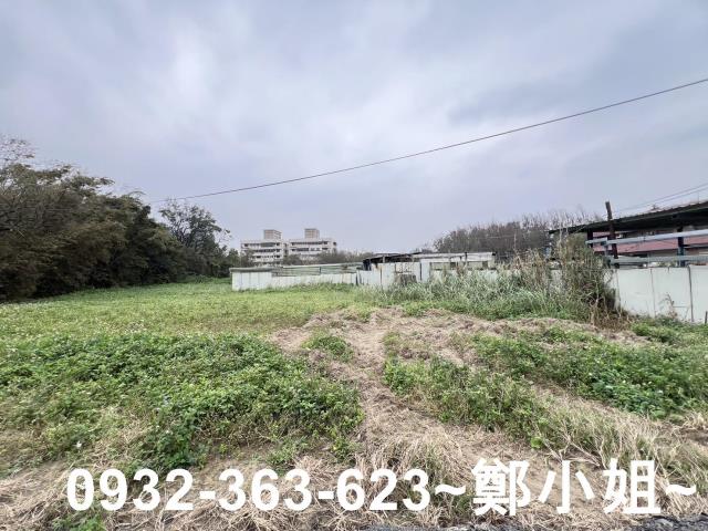 桃園觀音農地-5