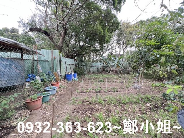 觀音農地-5