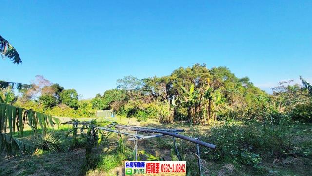 苗栗農地-11