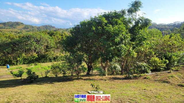 苗栗農地-3