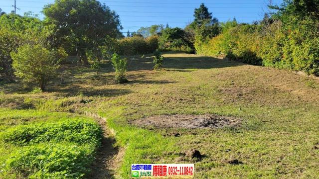 苗栗農地-4