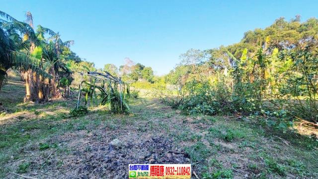 苗栗農地-5