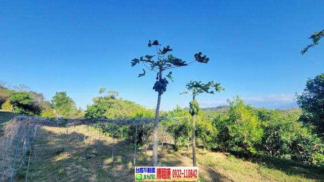 苗栗農地-8