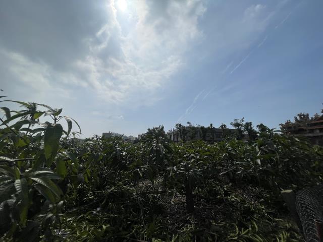 高雄農地-10