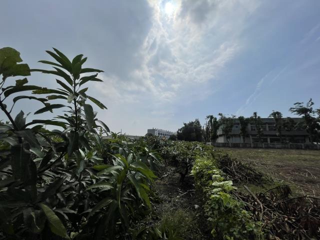 高雄農地-12