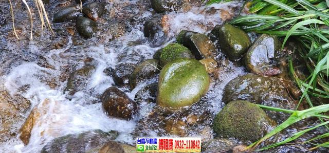 新竹農地-10