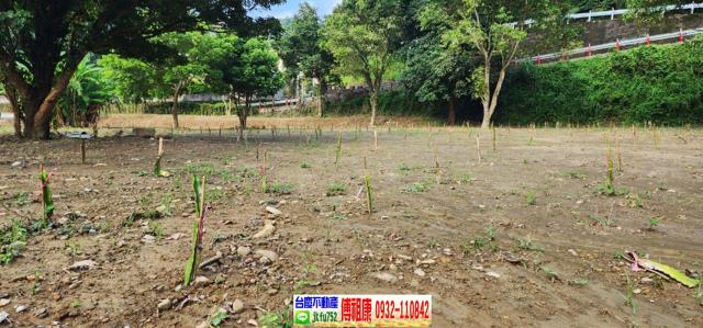 新竹農地-7