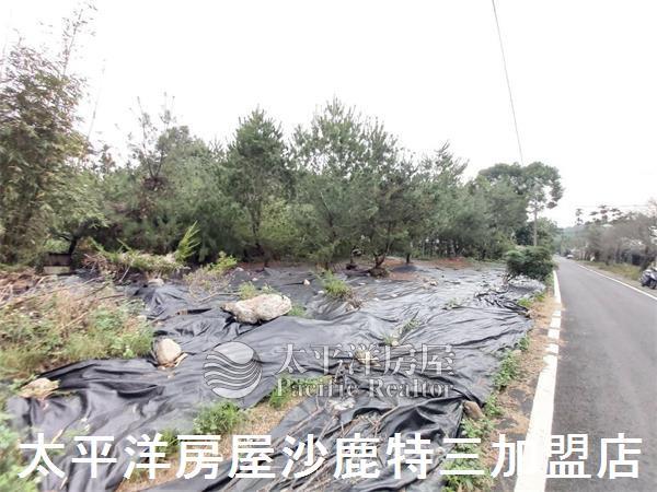 南投山坡地-8