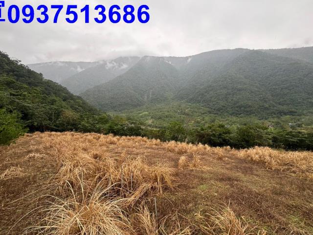 宜蘭南澳農地-2