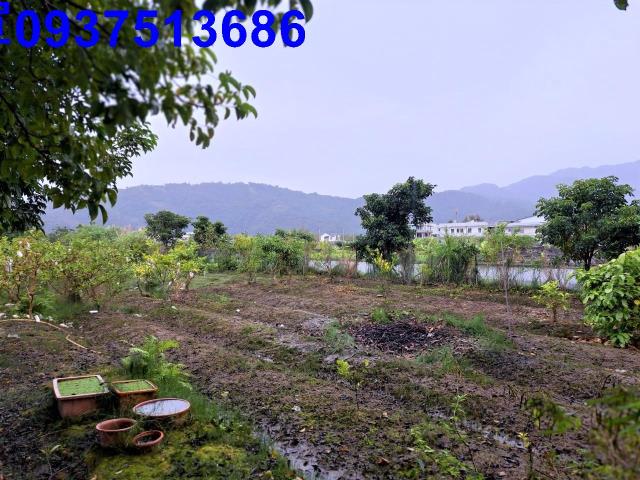宜蘭員山農地-5