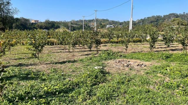 新竹峨眉農地-13