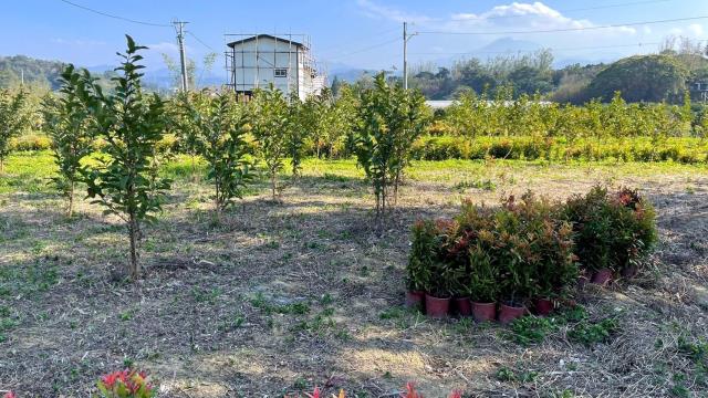 新竹峨眉農地-6