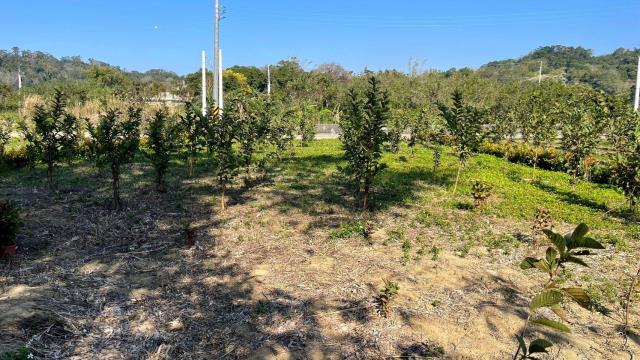 新竹峨眉農地-7