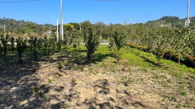 新竹峨眉農地-8