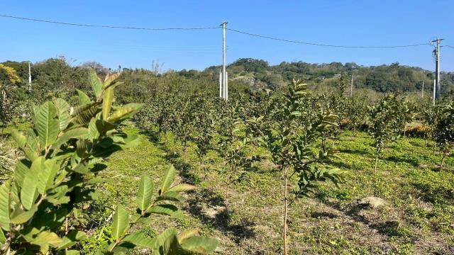 新竹峨眉農地-9