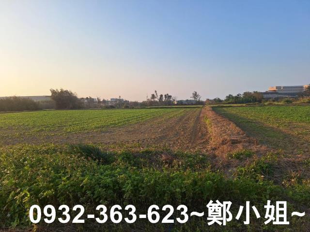觀音農地-10