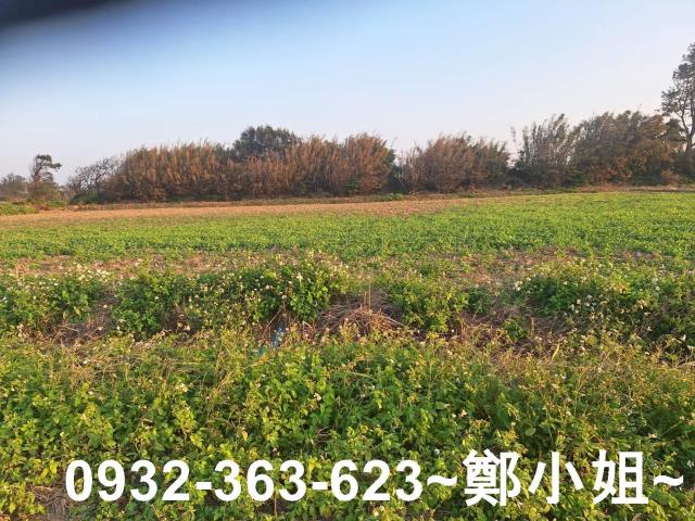 觀音農地-12