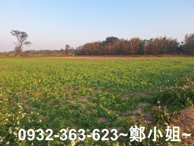 觀音農地-1