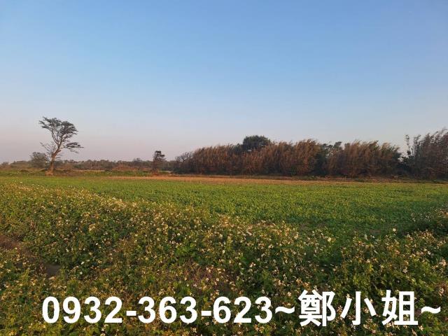 觀音農地-2