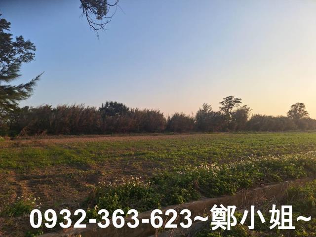 觀音農地-6