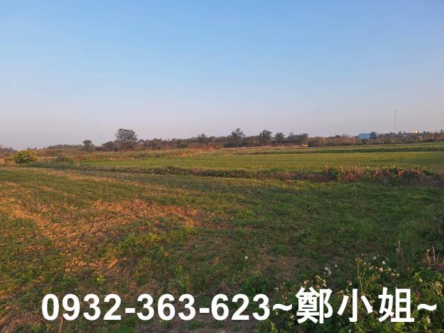 觀音農地-8