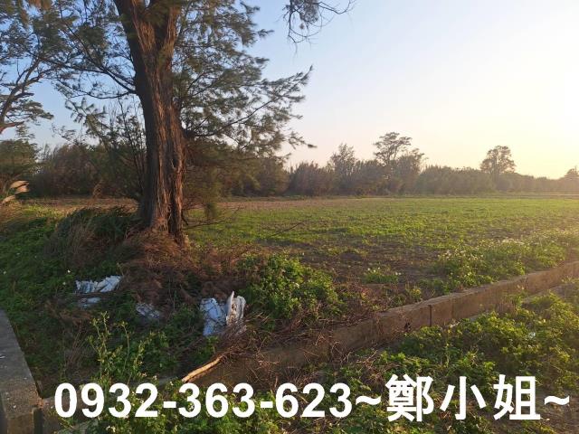 觀音農地-9